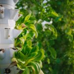 hydroponic tower garden