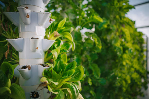 hydroponic tower garden