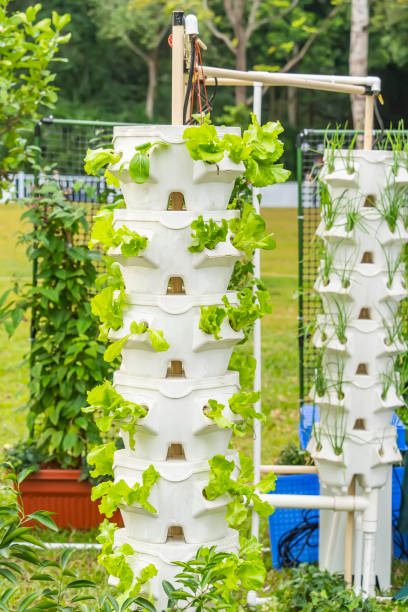 hydroponic tower garden
