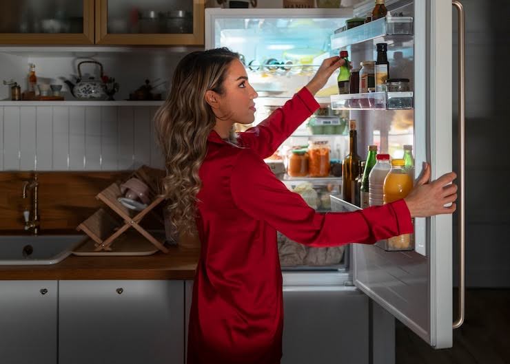 sub zero appliance repair