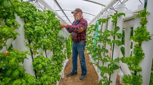 hydroponic tower
