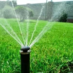 Irrigation Services