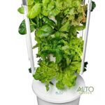 tower garden
