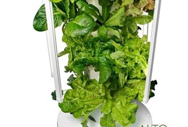 tower garden
